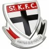 Cheapest 🧨 St Kilda Saints AFL Supporter 3D Chrome Logo 😉