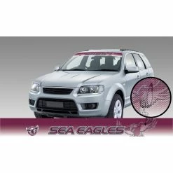 Best reviews of 🥰 NRL Sea Eagles ITAG See-Thru Sun Visor - Radiant Design ✨